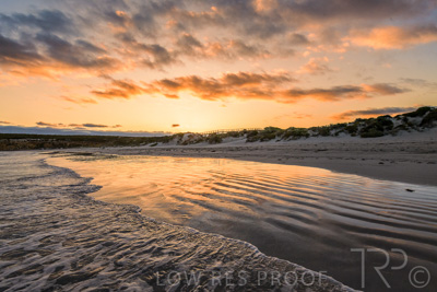 January 2023 / BEACH-SCENES_230104_065_WebRes