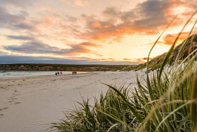 January 2023 / BEACH-SCENES_230104_071_WebRes