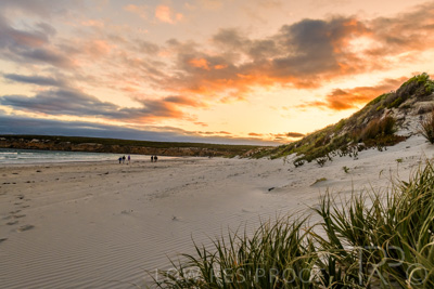 January 2023 / BEACH-SCENES_230104_072_WebRes