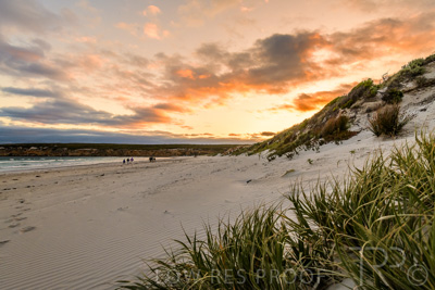 January 2023 / BEACH-SCENES_230104_073_WebRes