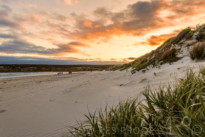 January 2023 / BEACH-SCENES_230104_074_WebRes