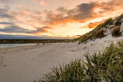 January 2023 / BEACH-SCENES_230104_075_WebRes