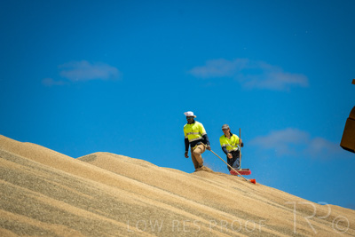 January 2023 / RUDALL_230105_044_WebRes