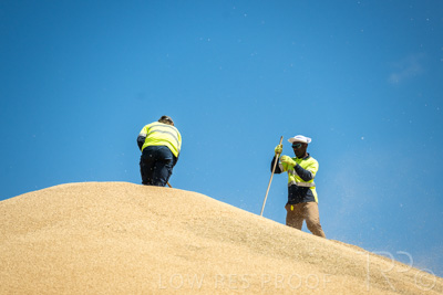 January 2023 / RUDALL_230105_053_WebRes