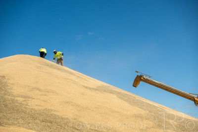 January 2023 / RUDALL_230105_054_WebRes