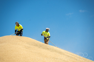 January 2023 / RUDALL_230105_057_WebRes