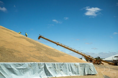 January 2023 / RUDALL_230105_063_WebRes