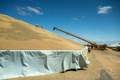 January 2023 / RUDALL_230105_065_WebRes