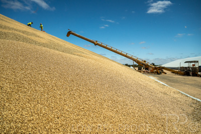 January 2023 / RUDALL_230105_067_WebRes