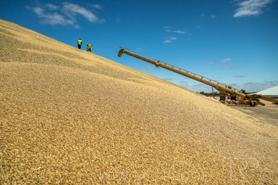 January 2023 / RUDALL_230105_068_WebRes