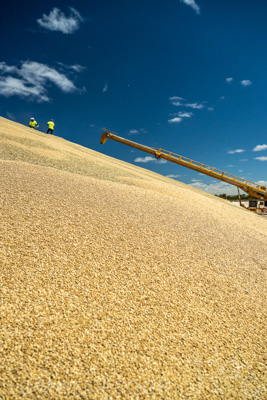 January 2023 / RUDALL_230105_069_WebRes