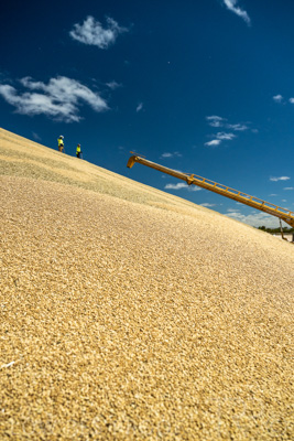 January 2023 / RUDALL_230105_070_WebRes