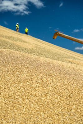 January 2023 / RUDALL_230105_071_WebRes