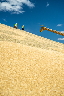 January 2023 / RUDALL_230105_072_WebRes