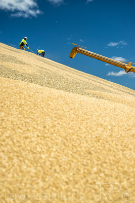 January 2023 / RUDALL_230105_073_WebRes