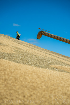 January 2023 / RUDALL_230105_080_WebRes