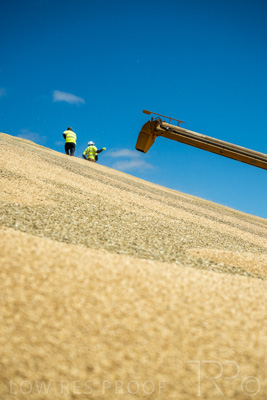 January 2023 / RUDALL_230105_081_WebRes