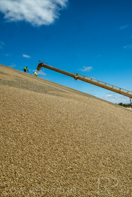 January 2023 / RUDALL_230105_085_WebRes