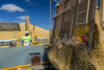 January 2023 / RUDALL_230105_205_WebRes