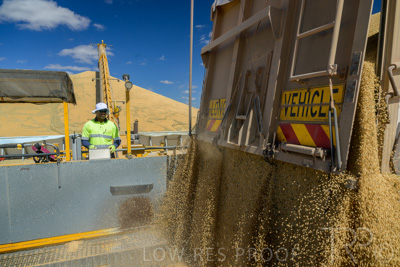 January 2023 / RUDALL_230105_207_WebRes