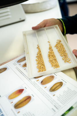 January 2023 / TUMBY-BAY_230105_151_WebRes