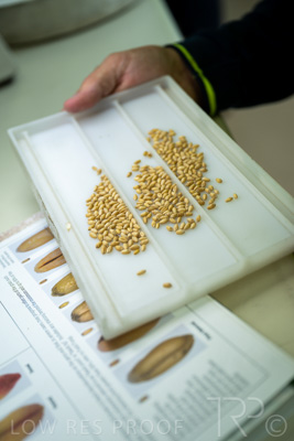 January 2023 / TUMBY-BAY_230105_159_WebRes