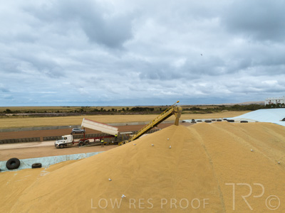 January 2023 / TUMBY-BAY_230105_182_WebRes