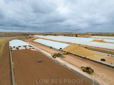 January 2023 / TUMBY-BAY_230105_188_WebRes