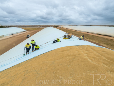 January 2023 / TUMBY-BAY_230105_214_WebRes