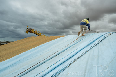 January 2023 / TUMBY-BAY_230105_221_WebRes