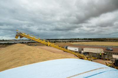 January 2023 / TUMBY-BAY_230105_224_WebRes