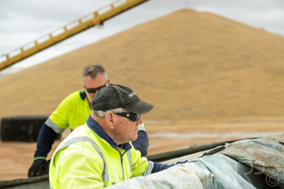 January 2023 / TUMBY-BAY_230105_252_WebRes