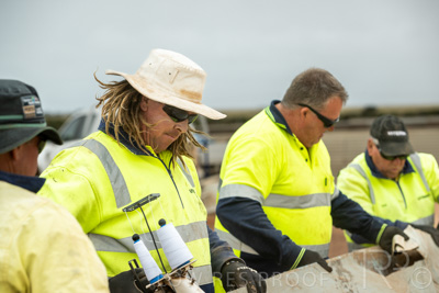 January 2023 / TUMBY-BAY_230105_279_WebRes