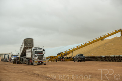 January 2023 / TUMBY-BAY_230105_304_WebRes