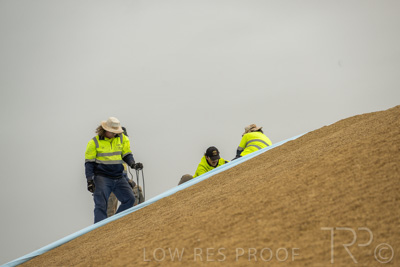 January 2023 / TUMBY-BAY_230105_326_WebRes