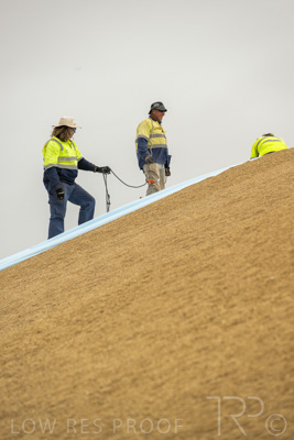 January 2023 / TUMBY-BAY_230105_333_WebRes