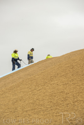 January 2023 / TUMBY-BAY_230105_334_WebRes