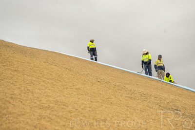 January 2023 / TUMBY-BAY_230105_352_WebRes