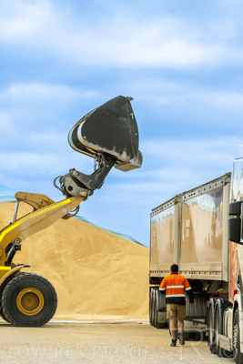 January 2023 / TAILEM-BEND_230118_017