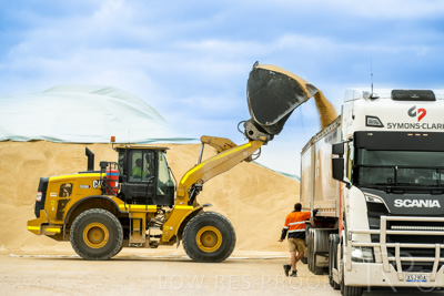 January 2023 / TAILEM-BEND_230118_020