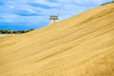 January 2023 / TAILEM-BEND_230118_031