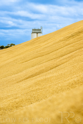 January 2023 / TAILEM-BEND_230118_032