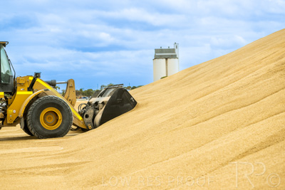 January 2023 / TAILEM-BEND_230118_034