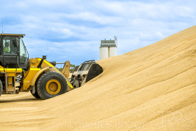 January 2023 / TAILEM-BEND_230118_036