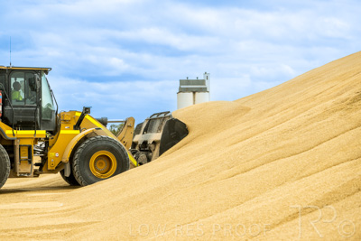 January 2023 / TAILEM-BEND_230118_037