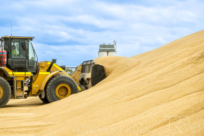 January 2023 / TAILEM-BEND_230118_038