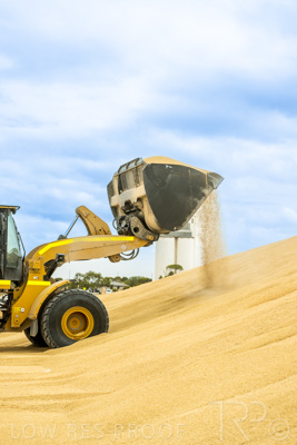 January 2023 / TAILEM-BEND_230118_044