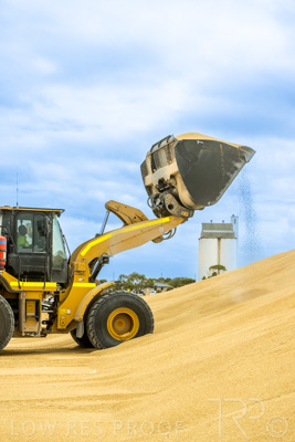 January 2023 / TAILEM-BEND_230118_046
