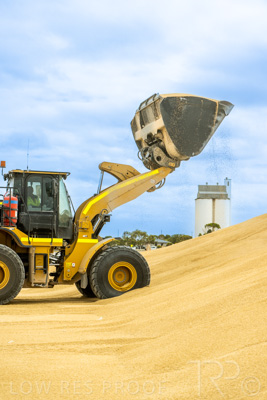 January 2023 / TAILEM-BEND_230118_047