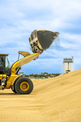 January 2023 / TAILEM-BEND_230118_048